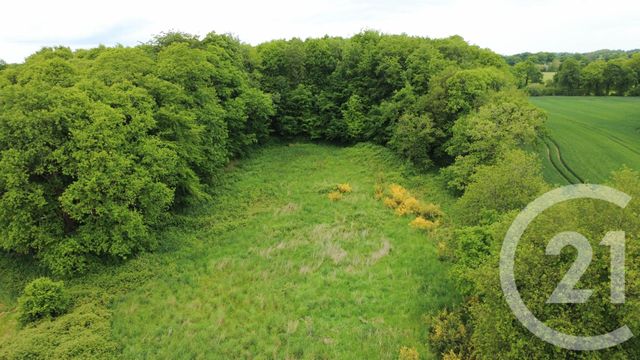 Maison à vendre - 9 pièces - 278,50 m2 - Baguer Morvan - 35 - BRETAGNE