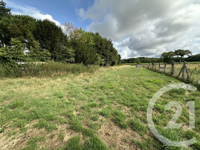 Maison &agrave; vendre - 6 pi&egrave;ces - 190,50 m2 - St Leger Des Pres - 35 - BRETAGNE