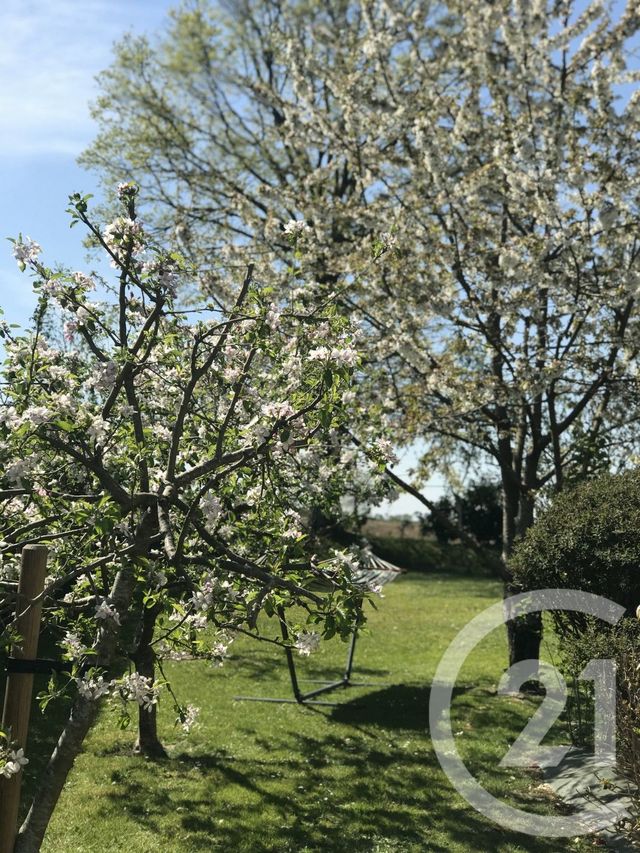 Maison &agrave; vendre - 7 pi&egrave;ces - 150 m2 - Montreuil Sur Ille - 35 - BRETAGNE