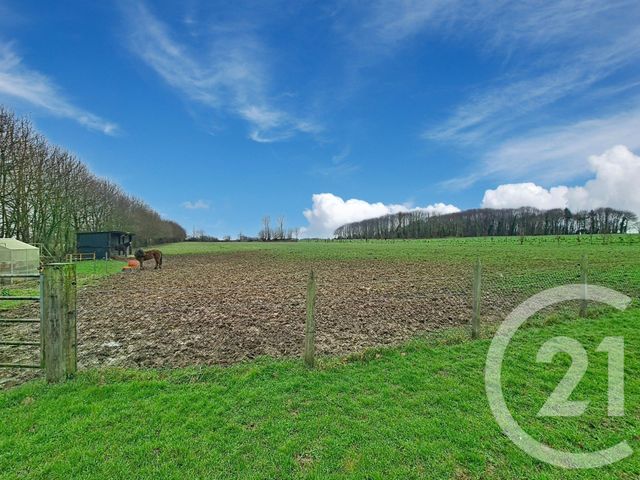 Maison &agrave; vendre - 11 pi&egrave;ces - 162 m2 - Pleugueneuc - 35 - BRETAGNE