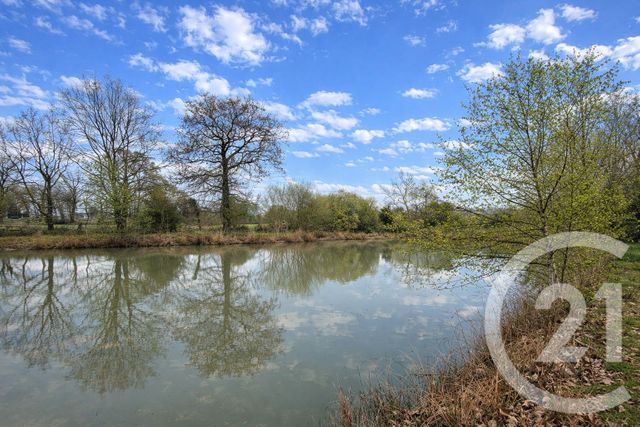 Terrain &agrave; vendre - 5230 m2 - Marcille Raoul - 35 - BRETAGNE