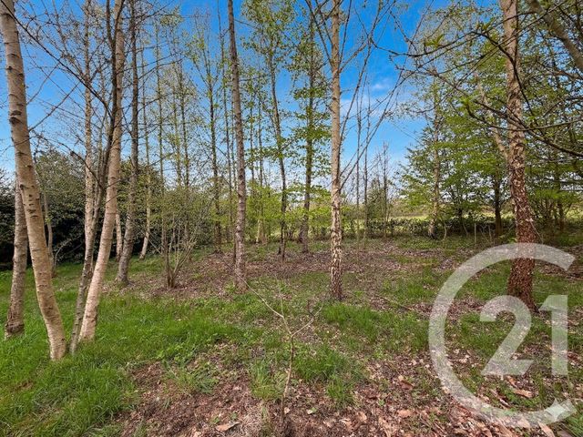 Terrain &agrave; vendre - 5230 m2 - Marcille Raoul - 35 - BRETAGNE