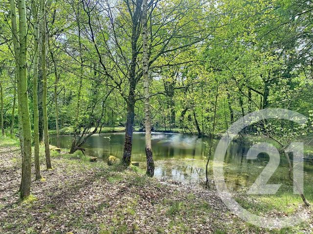 terrain - DINGE - 35