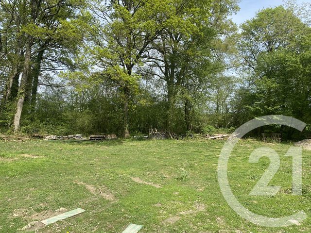Terrain &agrave; vendre - 5350 m2 - Dinge - 35 - BRETAGNE