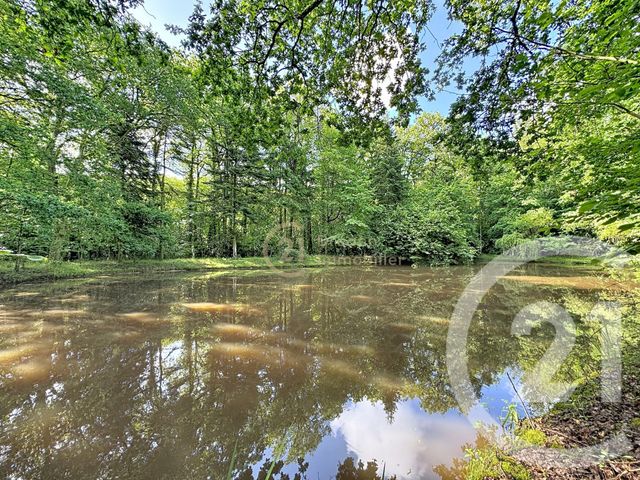 Terrain &agrave; vendre - 8320 m2 - St Pierre De Plesguen - 35 - BRETAGNE