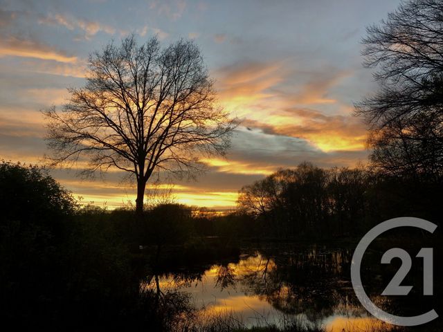 Terrain &agrave; vendre - 65904 m2 - Combourg - 35 - BRETAGNE