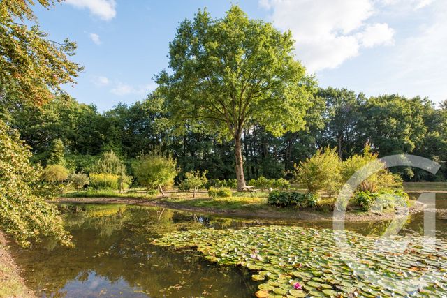 Terrain &agrave; vendre - 65904 m2 - Combourg - 35 - BRETAGNE