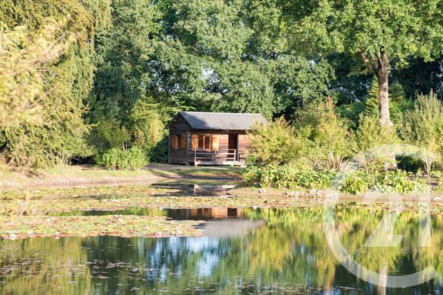 Terrain &agrave; vendre - 65904 m2 - Combourg - 35 - BRETAGNE