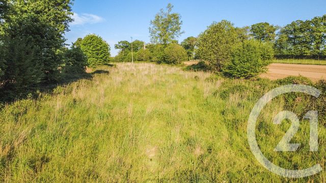 Terrain &agrave; vendre - 4010 m2 - Lanrigan - 35 - BRETAGNE