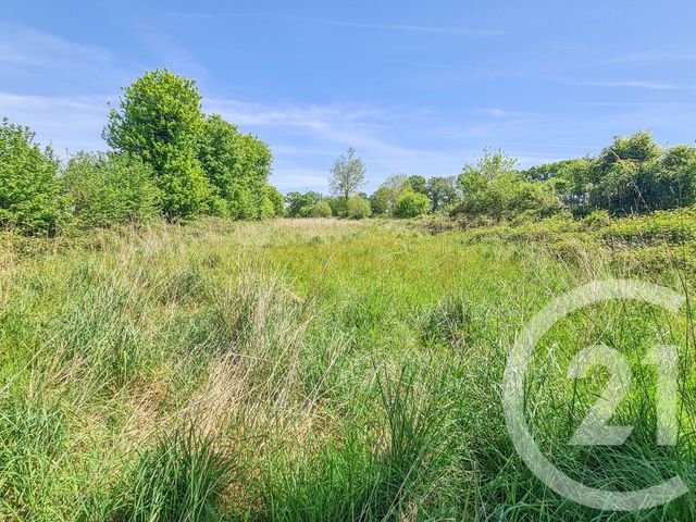 Terrain &agrave; vendre - 4010 m2 - Lanrigan - 35 - BRETAGNE