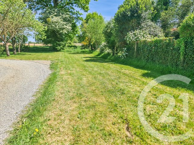 terrain - LANRIGAN - 35