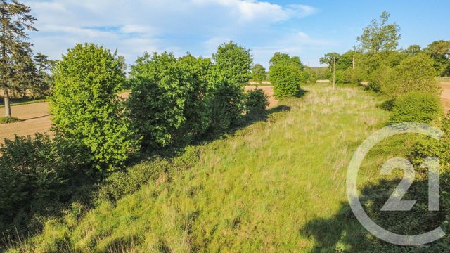 Terrain &agrave; vendre - 4010 m2 - Lanrigan - 35 - BRETAGNE