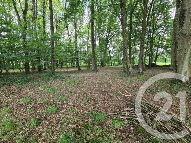 terrain - COMBOURG - 35