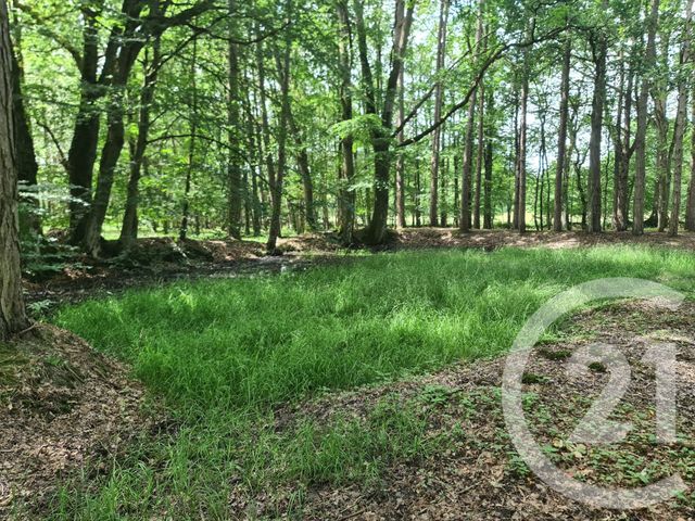 Terrain &agrave; vendre - 27800 m2 - Combourg - 35 - BRETAGNE
