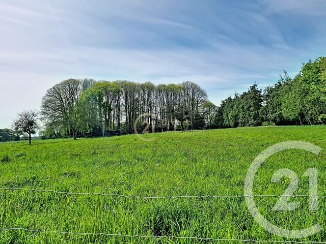 Maison &agrave; vendre - 8 pi&egrave;ces - 158,47 m2 - Meneac - 56 - BRETAGNE