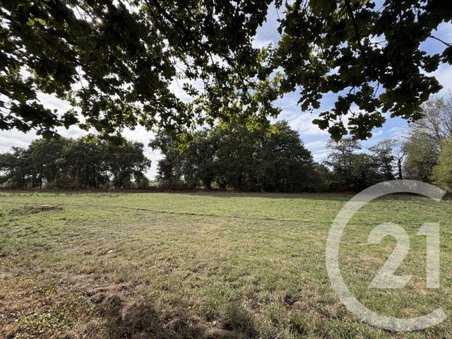 Maison &agrave; vendre - 11 pi&egrave;ces - 200 m2 - Bazouges La Perouse - 35 - BRETAGNE