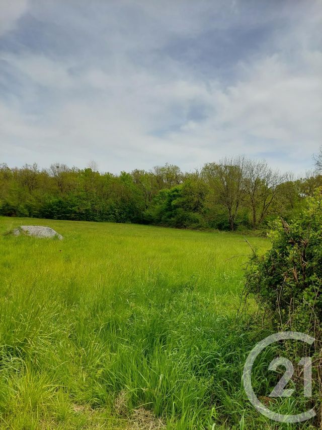 Terrain &agrave; vendre - 9522 m2 - Neuillay Les Bois - 36 - CENTRE