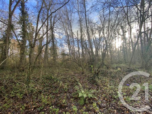 Terrain &agrave; vendre - 13939 m2 - Martizay - 36 - CENTRE