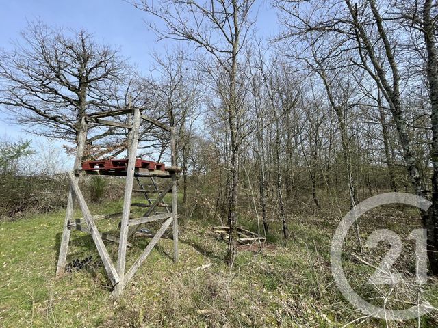 Terrain &agrave; vendre - 133930 m2 - Tendu - 36 - CENTRE