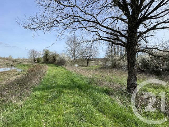 Terrain &agrave; vendre - 133930 m2 - Tendu - 36 - CENTRE