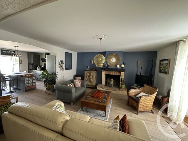 maison - VILLEDIEU SUR INDRE - 36