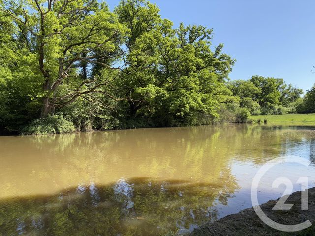 Maison &agrave; vendre - 4 pi&egrave;ces - 111 m2 - Neuvy St Sepulchre - 36 - CENTRE