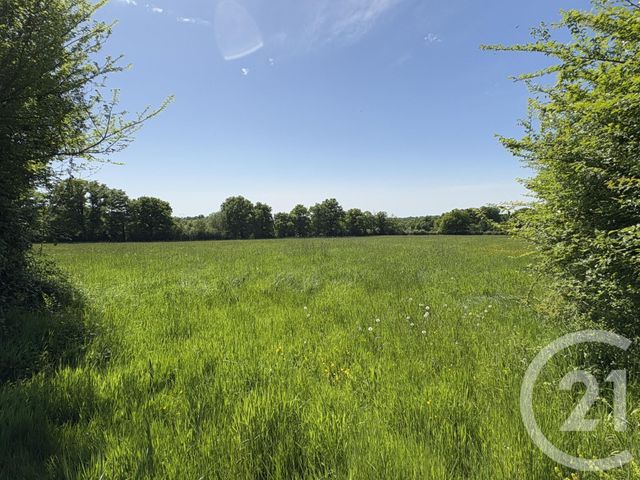 Maison &agrave; vendre - 4 pi&egrave;ces - 111 m2 - Neuvy St Sepulchre - 36 - CENTRE