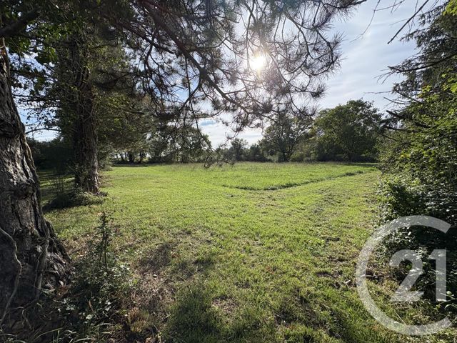 Terrain &agrave; vendre - 5495 m2 - Mosnay - 36 - CENTRE
