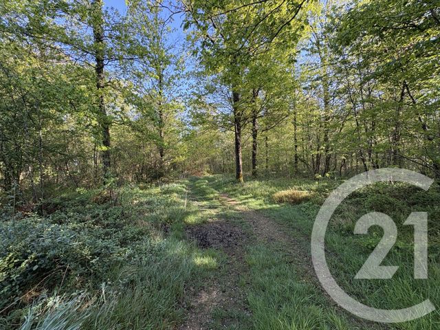 Terrain à vendre - 37340 m2 - Chasseneuil - 36 - CENTRE