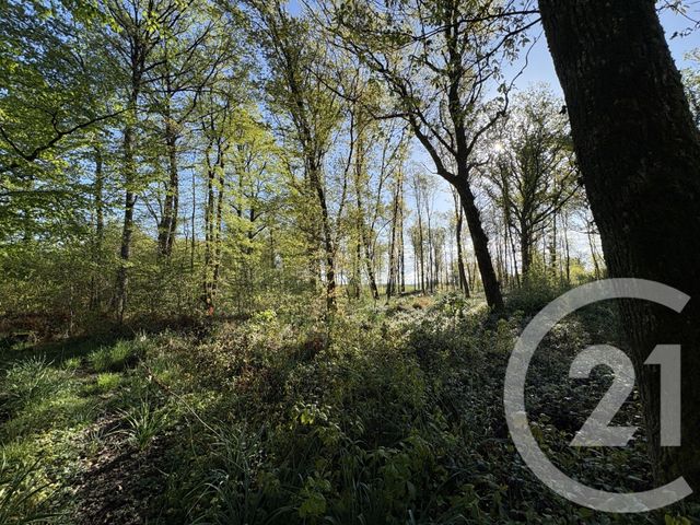 terrain - CHASSENEUIL - 36