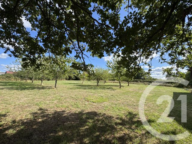 maison - NEUVY ST SEPULCHRE - 36