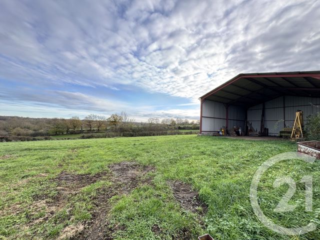 terrain - CLUIS - 36