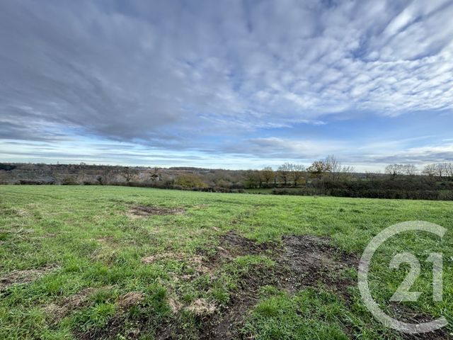 Terrain à vendre - 6135 m2 - Cluis - 36 - CENTRE