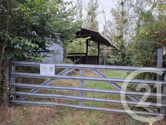 Maison à vendre - 14 pièces - 256 m2 - Gargilesse Dampierre - 36 - CENTRE