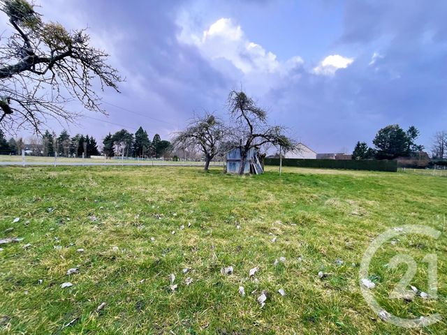 terrain - LE POINCONNET - 36