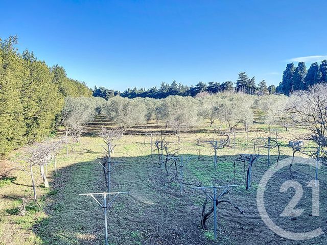 Maison à vendre - 6 pièces - 252 m2 - Elne - 66 - LANGUEDOC-ROUSSILLON