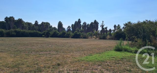 Maison à vendre - 5 pièces - 143,55 m2 - St Cyprien - 66 - LANGUEDOC-ROUSSILLON