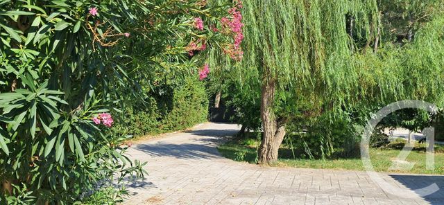 Maison à vendre - 5 pièces - 143,55 m2 - St Cyprien - 66 - LANGUEDOC-ROUSSILLON