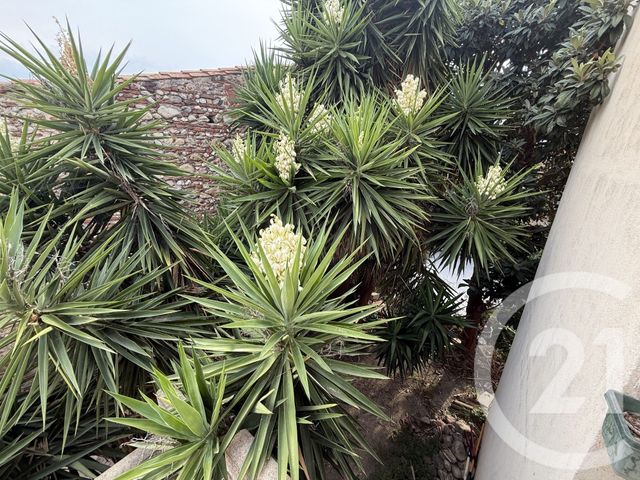 Maison à vendre - 5 pièces - 105,23 m2 - Elne - 66 - LANGUEDOC-ROUSSILLON