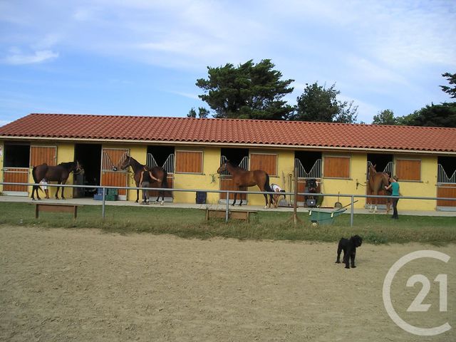 Maison à vendre - 7 pièces - 175,60 m2 - Elne - 66 - LANGUEDOC-ROUSSILLON