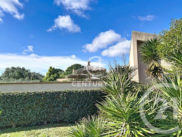 Appartement Studio Cabine &agrave; vendre - 1 pi&egrave;ce - 22,42 m2 - St Cyprien - 66 - LANGUEDOC-ROUSSILLON