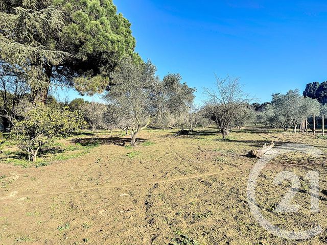 Maison &agrave; vendre - 6 pi&egrave;ces - 252 m2 - Elne - 66 - LANGUEDOC-ROUSSILLON