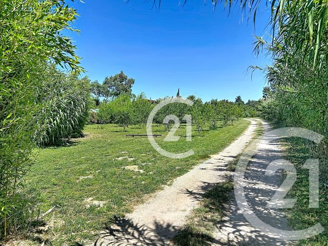 Maison &agrave; vendre - 5 pi&egrave;ces - 183 m2 - Elne - 66 - LANGUEDOC-ROUSSILLON