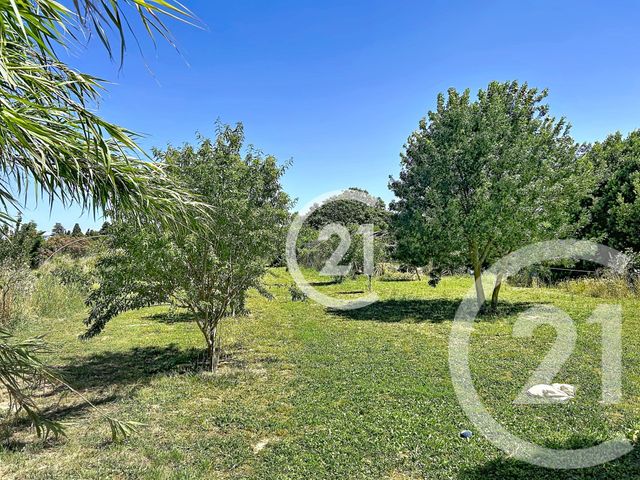 Maison &agrave; vendre - 5 pi&egrave;ces - 183 m2 - Elne - 66 - LANGUEDOC-ROUSSILLON