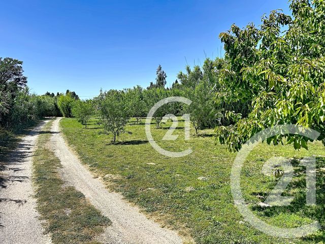 Maison &agrave; vendre - 5 pi&egrave;ces - 183 m2 - Elne - 66 - LANGUEDOC-ROUSSILLON