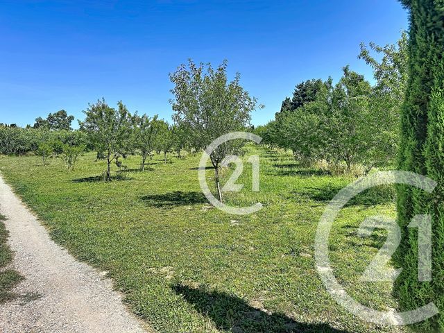 Maison &agrave; vendre - 5 pi&egrave;ces - 183 m2 - Elne - 66 - LANGUEDOC-ROUSSILLON