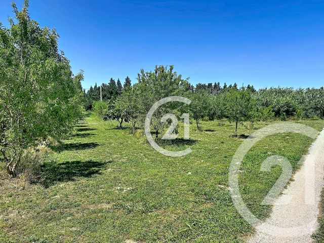 Maison &agrave; vendre - 5 pi&egrave;ces - 183 m2 - Elne - 66 - LANGUEDOC-ROUSSILLON