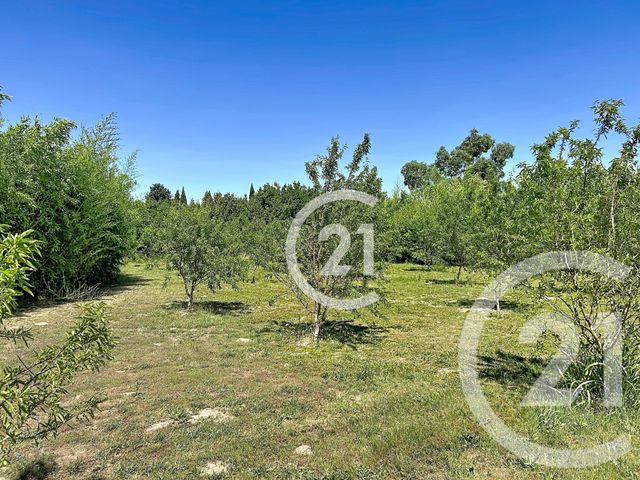 Maison &agrave; vendre - 5 pi&egrave;ces - 183 m2 - Elne - 66 - LANGUEDOC-ROUSSILLON
