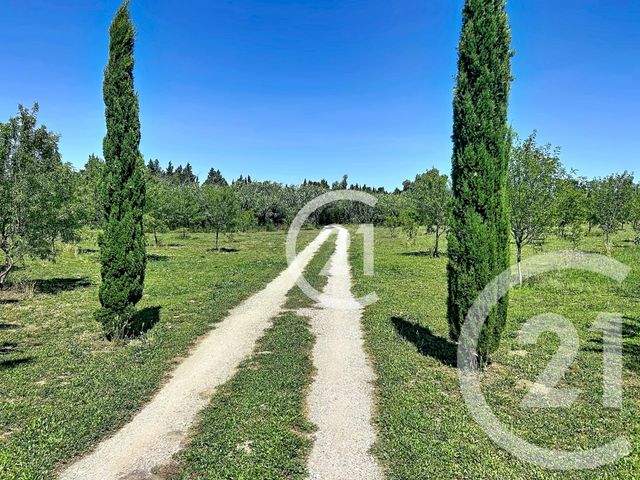 Maison &agrave; vendre - 5 pi&egrave;ces - 183 m2 - Elne - 66 - LANGUEDOC-ROUSSILLON