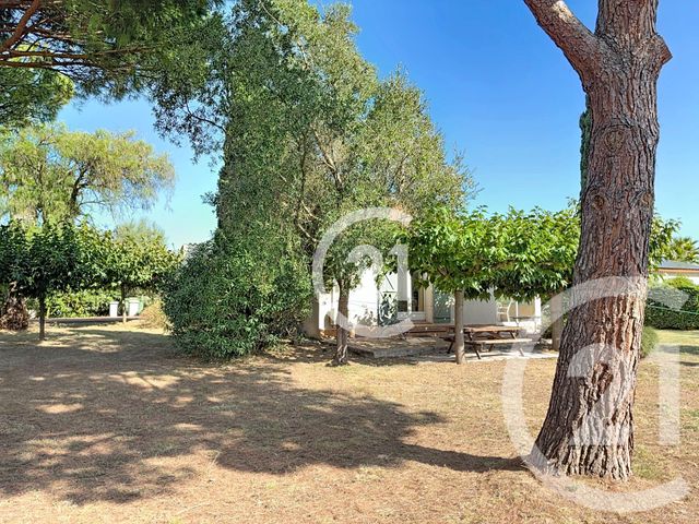 Maison &agrave; vendre - 4 pi&egrave;ces - 140 m2 - Montescot - 66 - LANGUEDOC-ROUSSILLON